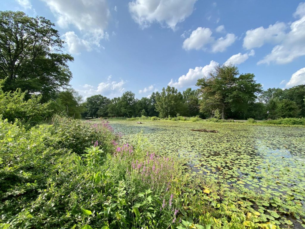 How Ellen Reid’s ‘Soundwalk’ is bringing forgotten corners of Fairmount Park to life