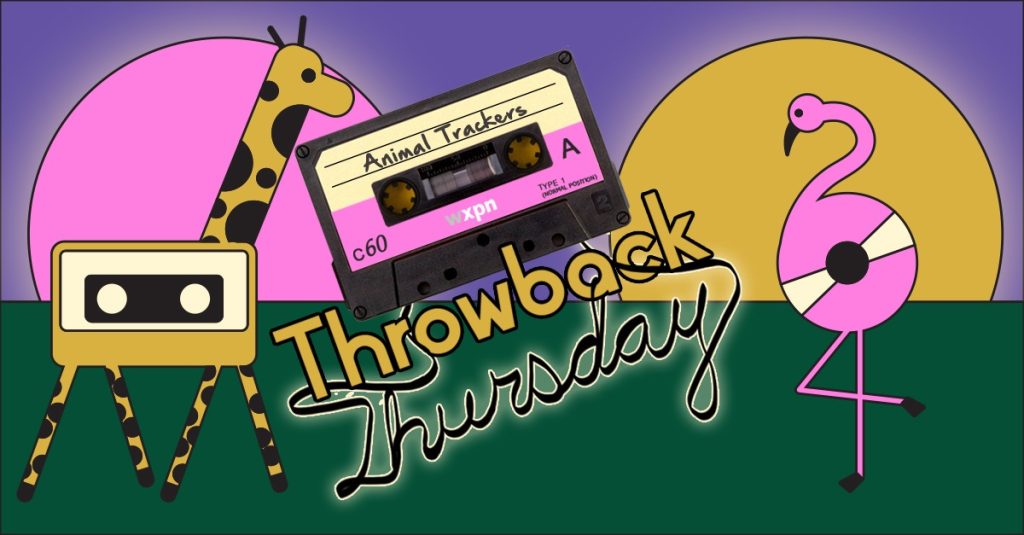 Take a musical journey through the animal kingdom on the ‘Animal Trackers’ #TBTXPN
