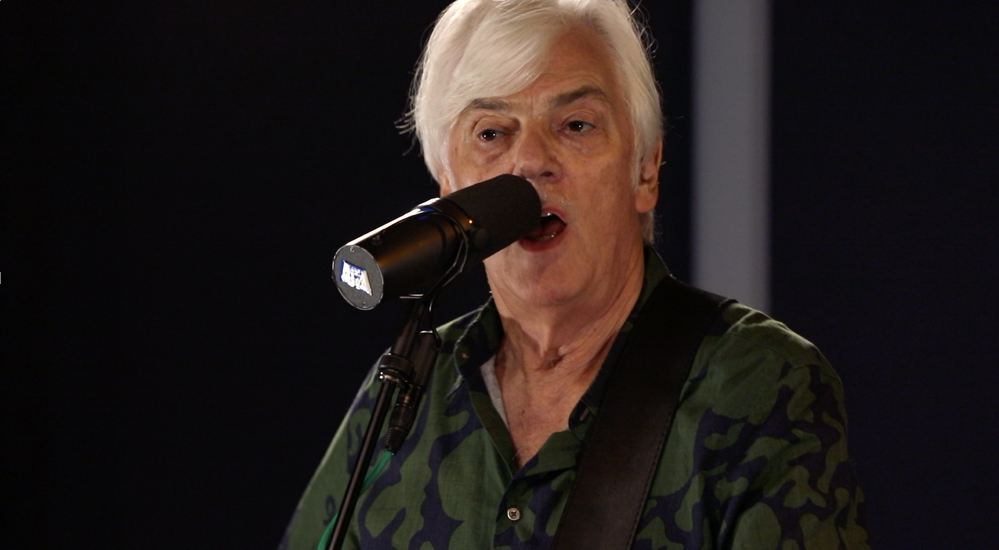 Robyn Hitchcock: “Madonna Of The Wasps” (Indie Rock Hit Parade)