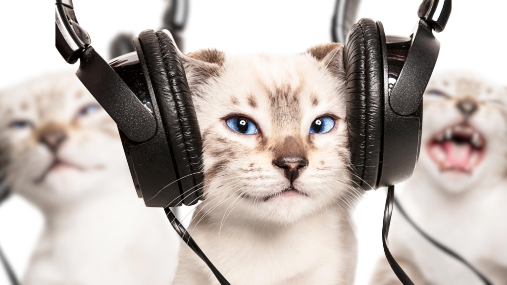 Ditching music algorithms? Here are 12 streaming alternatives to explore