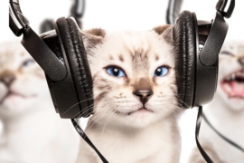 Ditching music algorithms? Here are 12 streaming alternatives to explore