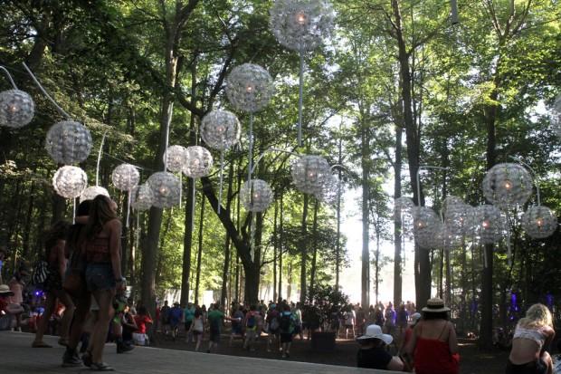 Forest Pathway | Photo by John Vettese