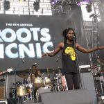 roots picnic