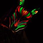 Slow Magic