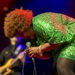 The Suffers