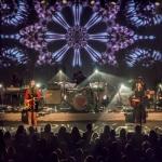 First Aid Kit | Photo by: Ellen Miller | ellencm.com