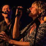 mekons
