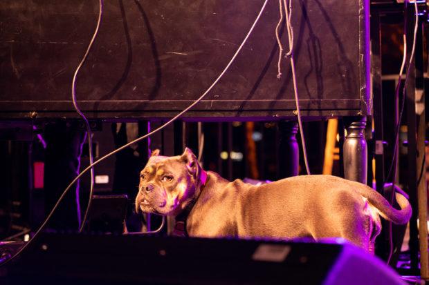 Cory Henry - xpn fest-01