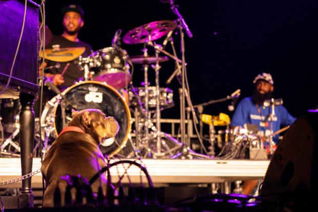 Cory Henry - xpn fest-19