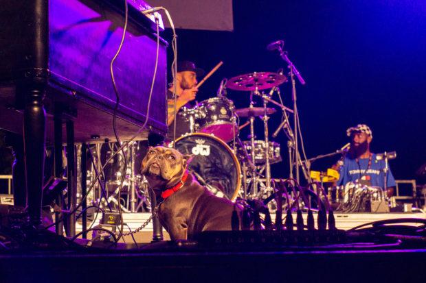 Cory Henry - xpn fest-24