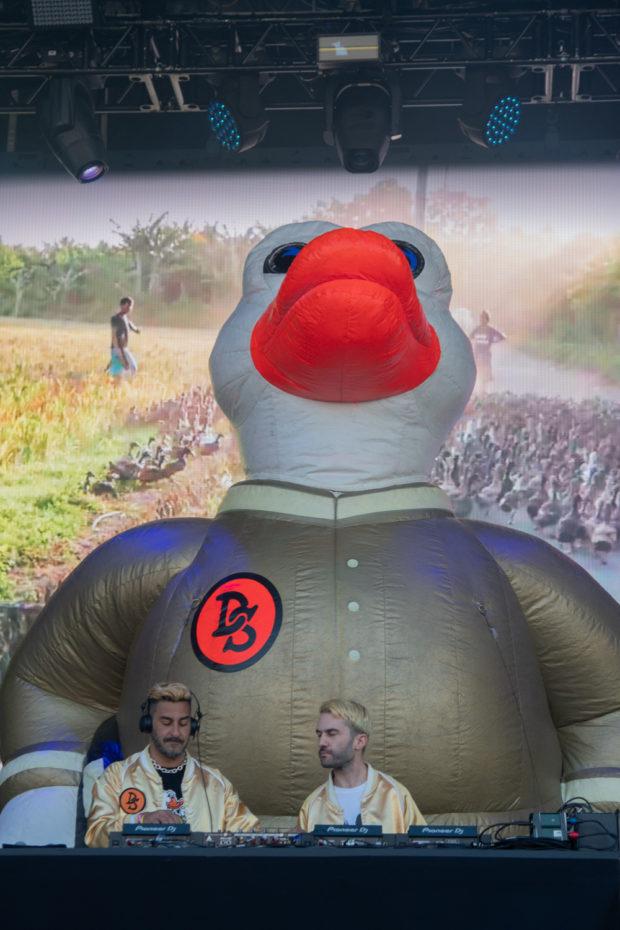 duck 1