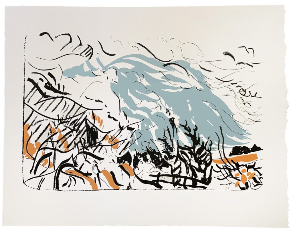 Frances Quinlan has opened a webstore for their visual art