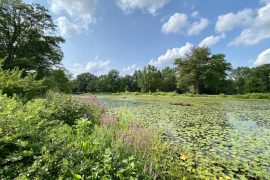 How Ellen Reid’s ‘Soundwalk’ is bringing forgotten corners of Fairmount Park to life