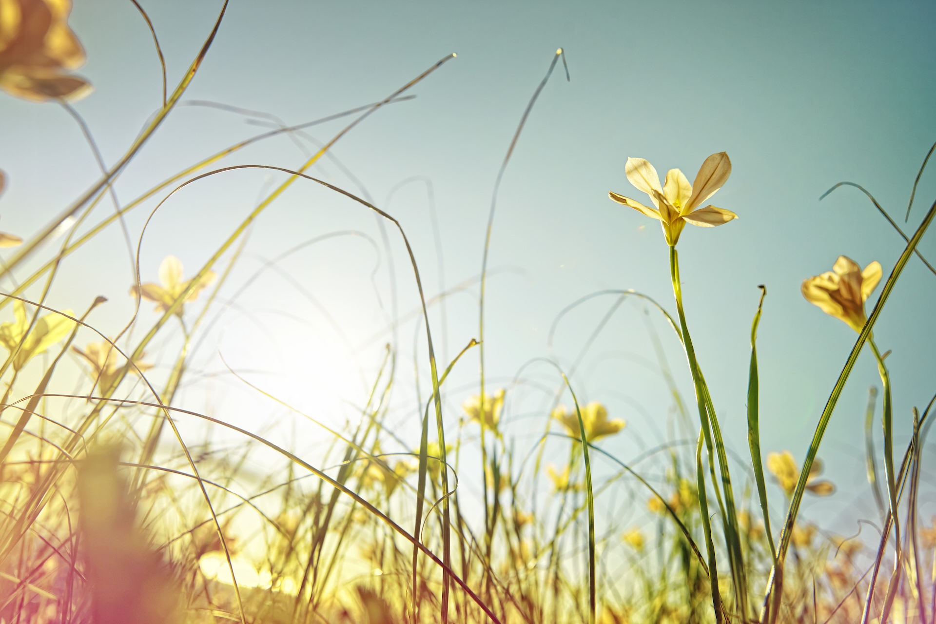 Suddenly, It’s Spring: A Sleepy Hollow playlist